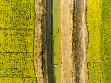 Aerial view of a narrow canal cutting through fields of vibrant yellow and earthy brown hues creating a striking contrast Sirajganj Rajshahi Division Bangladesh. Aerial view of a narrow canal cutting through fields of vibrant yellow and earthy brown hues creating a striking contrast Sirajganj Rajshahi Division Bangladesh.