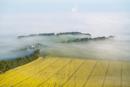 Aerial view of rolling green hills and a vibrant yellow rapeseed field partially covered by thick morning fog Nuffield Oxfordshire United Kingdom. Aerial view of rolling green hills and a vibrant yellow rapeseed field partially covered by thick morning fog Nuffield Oxfordshire United Kingdom.