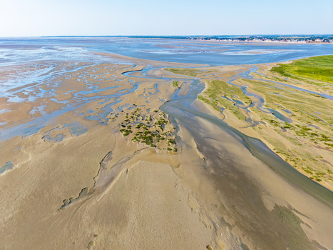Aerial view of the Baie de Somme featuring expansive tidal flats winding water channels and lush salt marshes along the coastline in Saint Valery sur Somme Hauts de France France. Aerial view of the Baie de Somme featuring expansive tidal flats winding water channels and lush salt marshes along the coastline in Saint Valery sur Somme Hauts de France France.