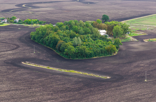 Aerial view of a small forest patch surrounded by vast dark plowed agricultural fields with a few buildings nestled among the trees in Pomeranian Voivodeship Poland.