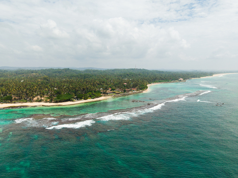Aerial view of Thalpe Beach featuring turquoise ocean water a natural coral reef barrier and a lush palm tree forest along the coast in Talpe Southern Province Sri Lanka. Aerial view of Thalpe Beach featuring turquoise ocean water a natural coral reef barrier and a lush palm tree forest along the coast in Talpe Southern Province Sri Lanka.