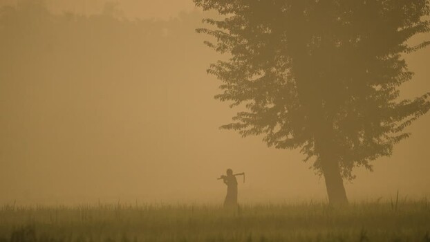 View of a farmer walking through a misty field in Bangladesh.