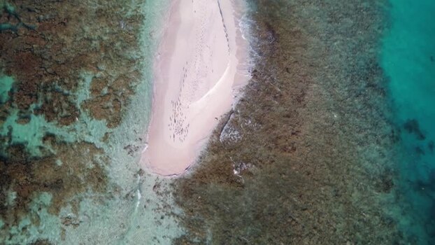 Aerial view of Los Roques sandbank Venezuela.