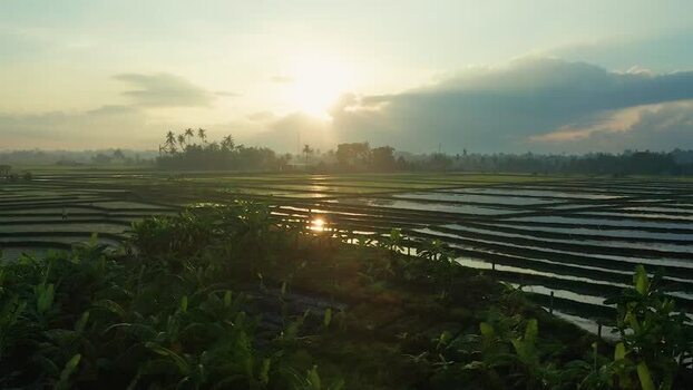 Aerial view of flooded rice terraces at sunrise in Bali Indonesia. Aerial view of flooded rice terraces at sunrise in Bali Indonesia.