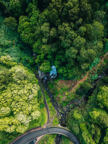 Aerial view of the cascading waterfall amidst the vibrant green forest a stark contrast to the winding road below Achada Açores Portugal. Aerial view of the cascading waterfall amidst the vibrant green forest a stark contrast to the winding road below Achada Açores Portugal.