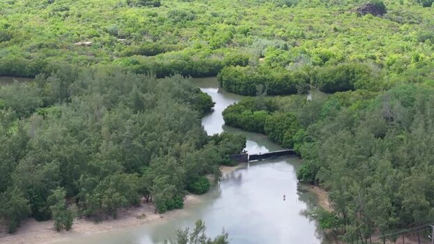 Aerial view of mangrove forest near Cap Malheureux Mauritius.