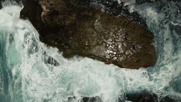 Aerial view of sea lions on rocks at La Jolla Cove United States.