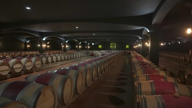 View of a wine cellar with rows of barrels France.