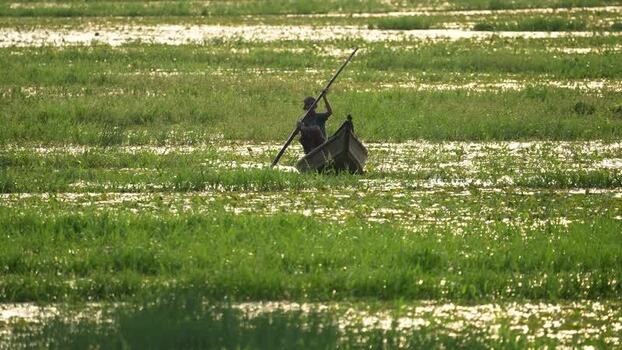 View of a fisherman in a boat on flooded fields in Bogura Bangladesh.