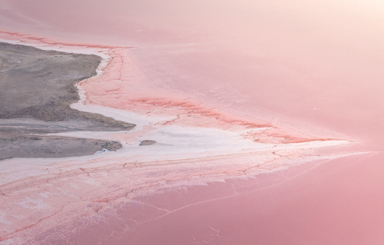Aerial view of cracked pink salt crust and pale mineral layers forming an intricate organic pattern in France. Aerial view of cracked pink salt crust and pale mineral layers forming an intricate organic pattern in France.