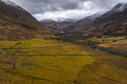 Aerial view of sheep grazing in a vast valley surrounded by snow capped mountains and stone walls under a dramatic sky in Scotland United Kingdom. Aerial view of sheep grazing in a vast valley surrounded by snow capped mountains and stone walls under a dramatic sky in Scotland United Kingdom.