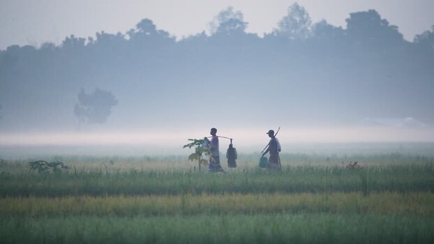 View of farmers walking through misty fields in Bogura Bangladesh. View of farmers walking through misty fields in Bogura Bangladesh.