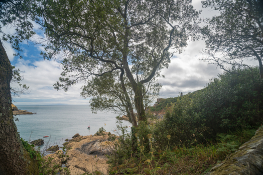 View of the Fowey River estuary framed by lush trees and rocky cliffs with a small boat on the calm water in Fowey Cornwall United Kingdom. View of the Fowey River estuary framed by lush trees and rocky cliffs with a small boat on the calm water in Fowey Cornwall United Kingdom.