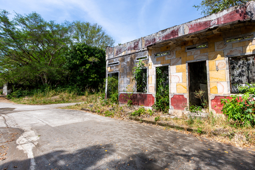 View of an abandoned building with a weathered yellow and red tiled facade overgrown with lush green vegetation and surrounded by trees under a clear blue sky.