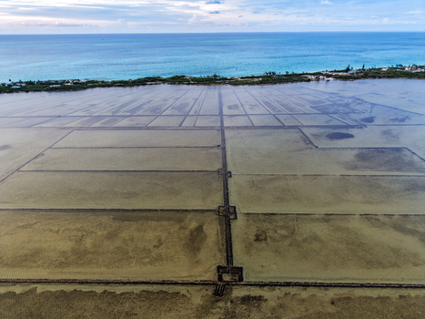 Aerial view of the geometric evaporation basins of Salt Pond with dark dikes and the turquoise ocean in the background in Exuma Exuma The Bahamas.