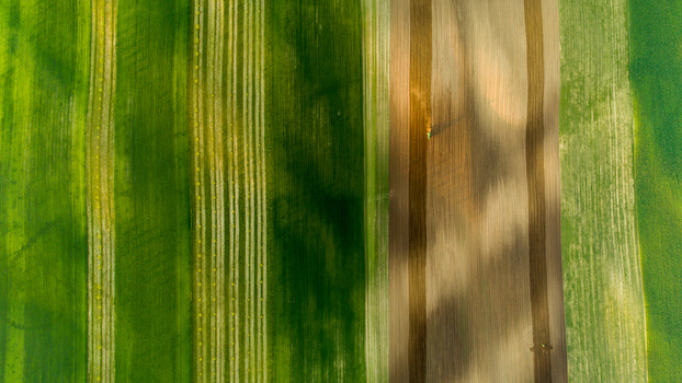 Aerial view of agricultural fields with alternating green and brown strips showing a tractor working on the land under a bright sky in Brno City District South Moravian Region Czechia.