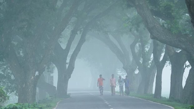 View of people walking on a foggy road lined with trees Bangladesh.