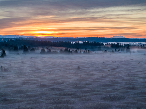 Aerial view of the Mima Mounds Natural Area Preserve covered in morning mist under a colorful sunrise sky in Olympia Washington United States.