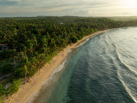Aerial view of Mahaybo Beach with lush palm trees lining the sandy shore and gentle waves under golden hour light in General Luna Caraga Philippines. Aerial view of Mahaybo Beach with lush palm trees lining the sandy shore and gentle waves under golden hour light in General Luna Caraga Philippines.