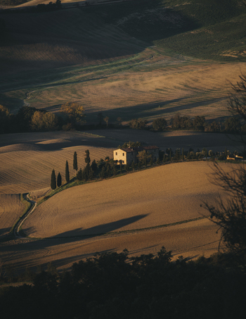 View of rustic house surrounded by fields and trees at sunset Pienza Italy.