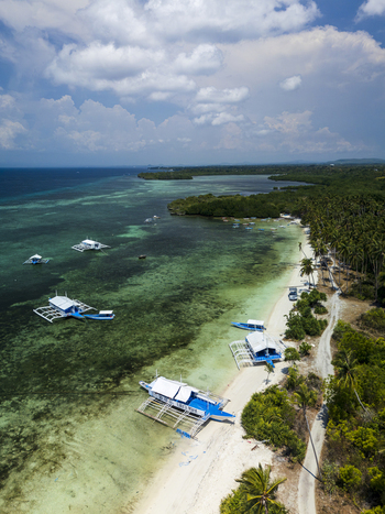 Aerial view of traditional outrigger boats anchored along the turquoise waters and sandy coastline of Doljo Beach in Panglao Central Visayas Philippines.