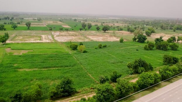 Aerial view of agricultural fields in Patna India.