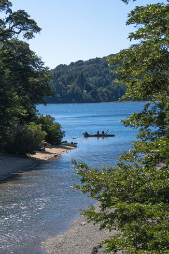 View of a partially submerged tree trunk with people sitting on it where a stream flows into a lake surrounded by lush green trees and rocky shores in Bariloche Argentina