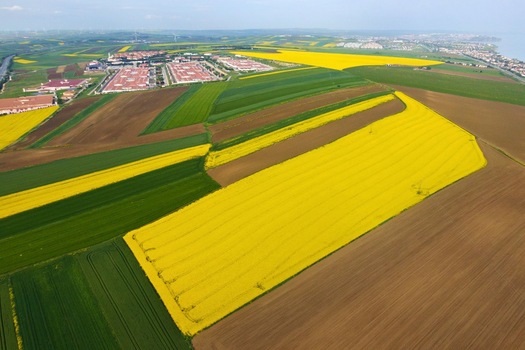 Aerial view of vibrant yellow canola fields and green agricultural lands under a clear sky near industrial complexes in Silivri Istanbul Turkey. Aerial view of vibrant yellow canola fields and green agricultural lands under a clear sky near industrial complexes in Silivri Istanbul Turkey.