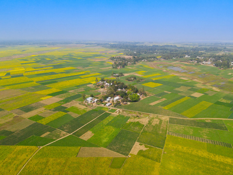 Aerial view of agricultural fields and a small village cluster in the rural landscape of Kushtia Khulna Division Bangladesh. Aerial view of agricultural fields and a small village cluster in the rural landscape of Kushtia Khulna Division Bangladesh.
