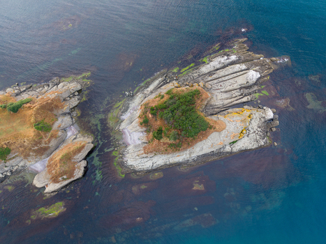 Aerial view of the rocky coastline and islet at Arapya featuring layered stone formations patches of green vegetation and clear blue sea water in Burgas Bulgaria. Aerial view of the rocky coastline and islet at Arapya featuring layered stone formations patches of green vegetation and clear blue sea water in Burgas Bulgaria.