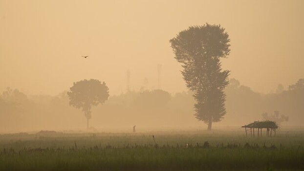 View of a misty rural landscape with silhouetted trees Bangladesh.