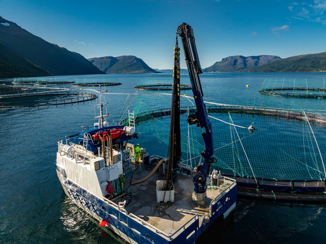 Aerial view of a work boat operating at a salmon farm in a fjord with mountains in the background under a clear blue sky in Gratangsbotn Troms Norway. Aerial view of a work boat operating at a salmon farm in a fjord with mountains in the background under a clear blue sky in Gratangsbotn Troms Norway.