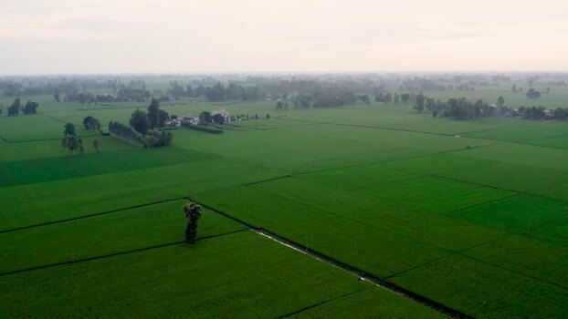Aerial view of village field in Patna India.
