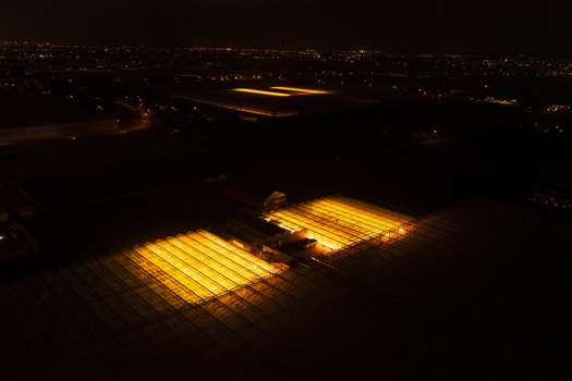 Aerial view of glowing greenhouses illuminated with bright orange light in a dark rural landscape at night.