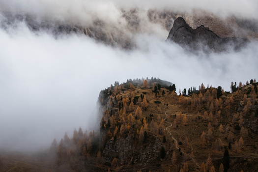 View of the Dolomites shrouded in thick white fog with autumn larch trees and a winding mountain path Trentino Alto Adige Italy. View of the Dolomites shrouded in thick white fog with autumn larch trees and a winding mountain path Trentino Alto Adige Italy.