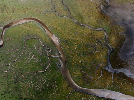 Aerial view of the abstract tidal patterns at Culbin Sands featuring intricate winding channels and lush green marshland textures in Nairn Scotland United Kingdom. Aerial view of the abstract tidal patterns at Culbin Sands featuring intricate winding channels and lush green marshland textures in Nairn Scotland United Kingdom.