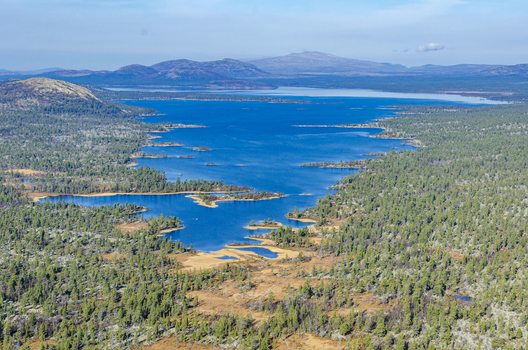 Aerial view of Rogen nature reserve featuring a vast blue lake surrounded by dense pine forests and rocky terrain in Tannas Jamtland County Sweden. Aerial view of Rogen nature reserve featuring a vast blue lake surrounded by dense pine forests and rocky terrain in Tannas Jamtland County Sweden.