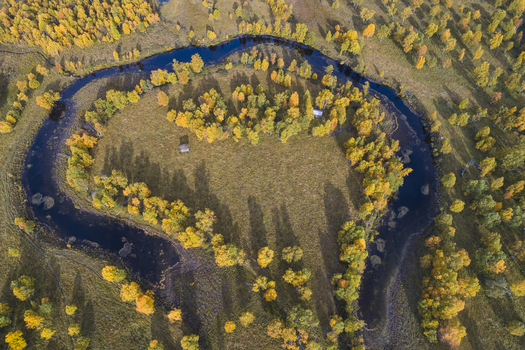 Aerial view of the Ljusnan river winding through a vibrant autumn forest with golden birch trees and meadows in Bruksvallarna Jamtland County Sweden. Aerial view of the Ljusnan river winding through a vibrant autumn forest with golden birch trees and meadows in Bruksvallarna Jamtland County Sweden.