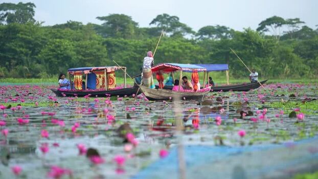 View of people in boats on a water lily pond in Barishal Bangladesh. View of people in boats on a water lily pond in Barishal Bangladesh.