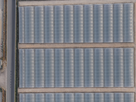 Aerial view of large industrial greenhouses arranged in symmetrical rows next to an asphalt road in Paestum Campania Italy.