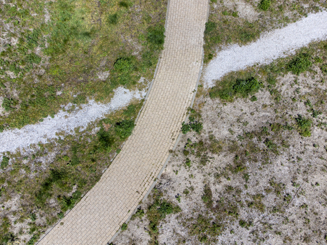 Aerial view of a winding textured path cuts through the contrasting grassy and sandy landscape creating a serene yet striking visual harmony Almere Flevoland Netherlands.