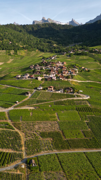 Aerial view of the village of Leytron surrounded by lush green vineyards and traditional houses with the Swiss Alps in the background Leytron Valais Switzerland. Aerial view of the village of Leytron surrounded by lush green vineyards and traditional houses with the Swiss Alps in the background Leytron Valais Switzerland.