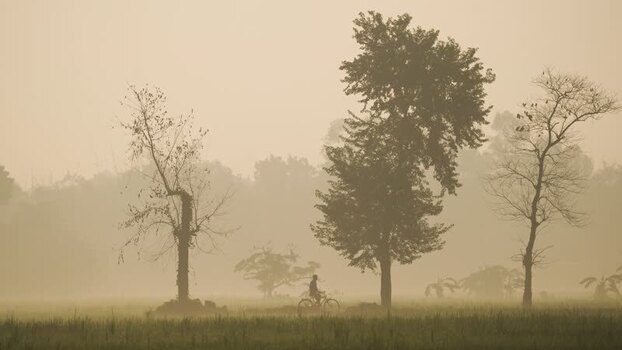 View of a person cycling through misty fields Bangladesh.