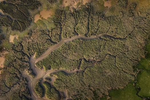 Aerial view of the intricate dendritic drainage patterns in the salt marsh estuary with green vegetation and brown mudflats in Portmarnock County Dublin Ireland. Aerial view of the intricate dendritic drainage patterns in the salt marsh estuary with green vegetation and brown mudflats in Portmarnock County Dublin Ireland.