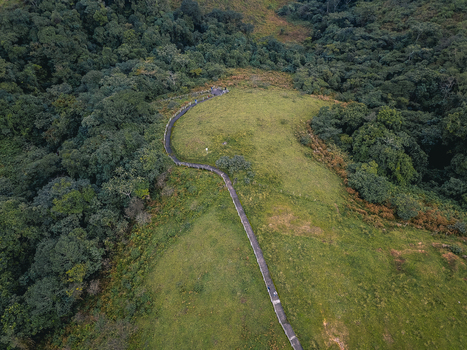 Aerial view of a winding stone path cutting through vibrant green pastures bordered by dense dark emerald forests Obudu Cross River Nigeria.
