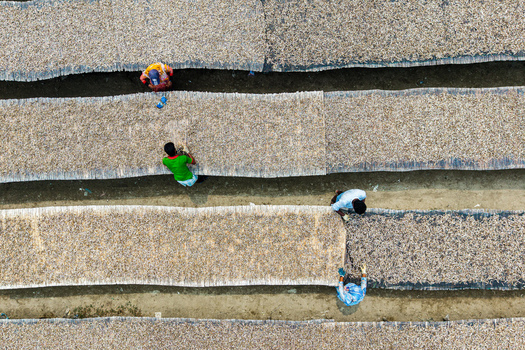 Cox s Bazar Bangladesh 11 March 2026 Aerial view of workers drying small fish on long bamboo mats arranged in parallel rows under the sun. Cox s Bazar Bangladesh 11 March 2026 Aerial view of workers drying small fish on long bamboo mats arranged in parallel rows under the sun.