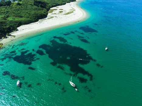 Aerial view of the turquoise waters and sandy beach of Ile de Groix with sailboats anchored in the bay surrounded by lush greenery and coastal landscape in Groix Bretagne France. Aerial view of the turquoise waters and sandy beach of Ile de Groix with sailboats anchored in the bay surrounded by lush greenery and coastal landscape in Groix Bretagne France.