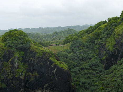 Aerial view of lush green vegetation blanketing the rugged terrain with a small settlement nestled in the landscape Pengilon Hill Gunungkidul Regency Daerah Istimewa Yogyakarta Indonesia. Aerial view of lush green vegetation blanketing the rugged terrain with a small settlement nestled in the landscape Pengilon Hill Gunungkidul Regency Daerah Istimewa Yogyakarta Indonesia.