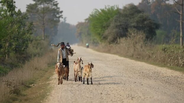View of a man herding goats on a rural dirt road Nepal. View of a man herding goats on a rural dirt road Nepal.