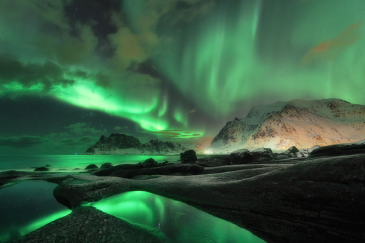 View of the vibrant Aurora Borealis dancing over snow capped mountains and rocky coastline with green reflections in tide pools at Lofoten Nordland Norway.